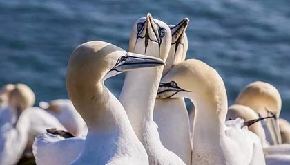 九游游戏中心：一站式手游世界的探索之旅